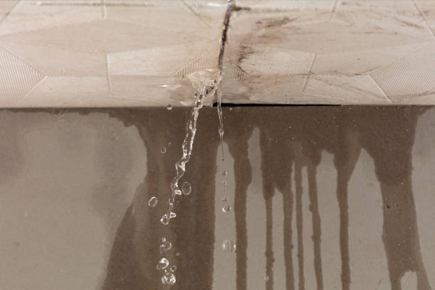 Professional Structural Drying technician working in Descanso, CA